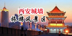 美女裸体自慰喷水、白浆扣逼强奸直播下载中国陕西-西安城墙旅游风景区